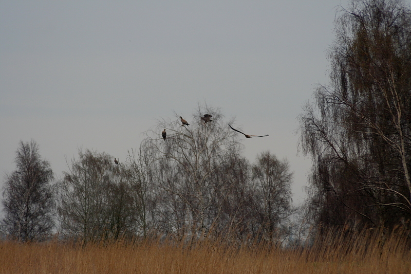 Killikus&reg; Fotographie